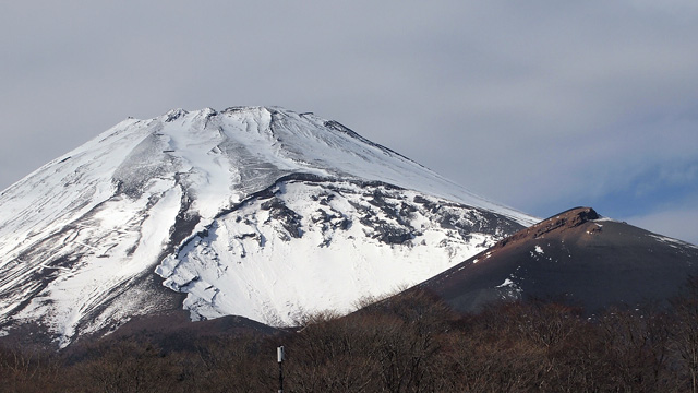 fuji