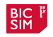 bic sim