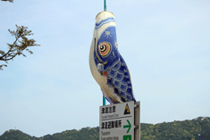 izu002
