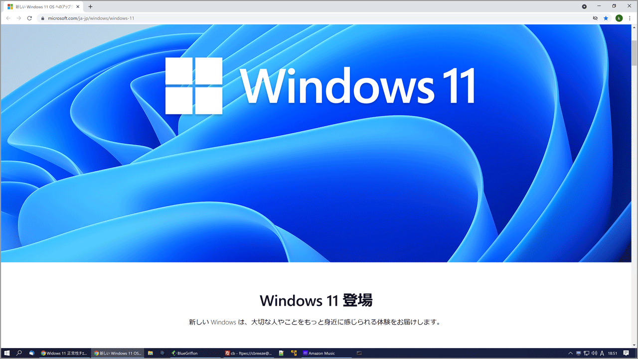 windows 11